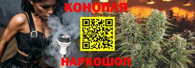гидра Железногорск